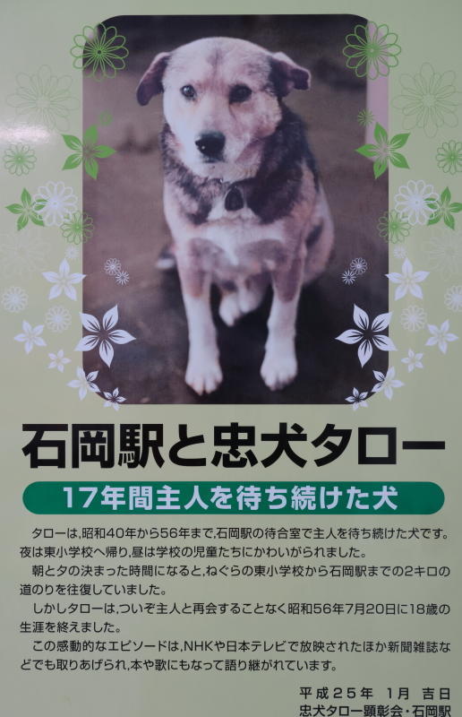 石岡駅の忠犬タローと関東の清水寺: かっちゃんのちいさな旅